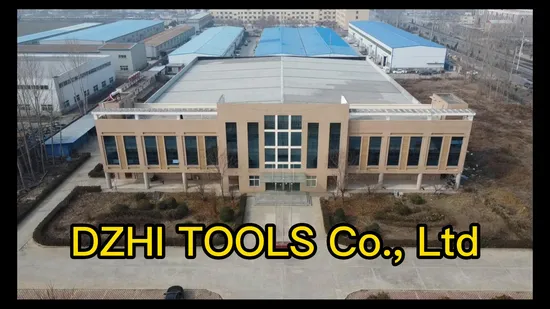 Diamond Carving Tools Vacuum Brazed Grinding Graver Drill Abrasive Bits Gal Bit Wheel Head End Mill Router Bit for Carving Granite